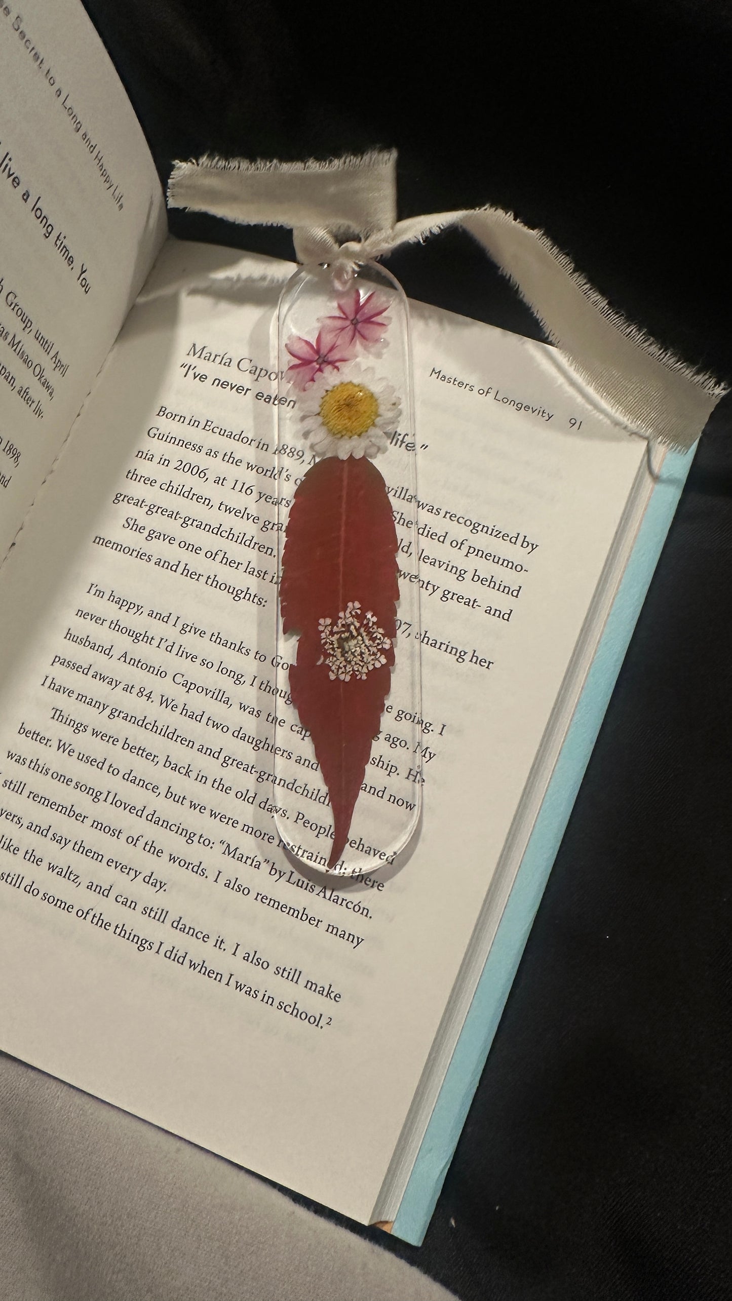 Set of 5 Bookmarks